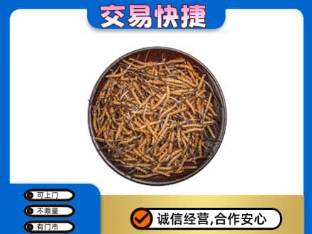 三沙回收散虫草